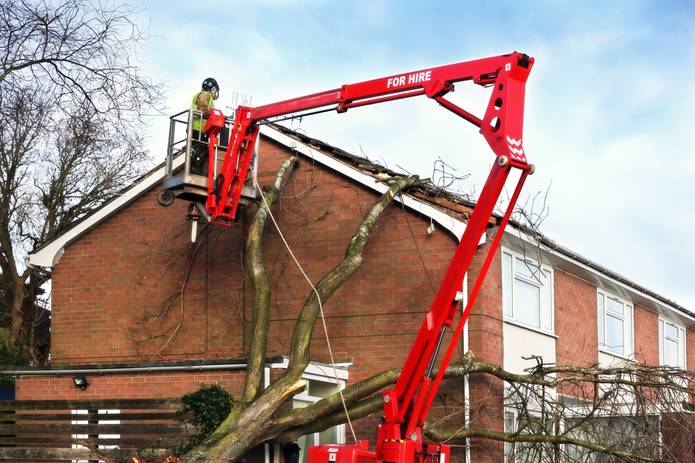 tree masters on cherry picker after storm damage